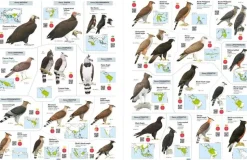 All the Birds of the World af Josep del Hoyo | Bog