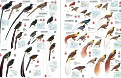 All the Birds of the World af Josep del Hoyo | Bog