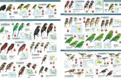 All the Birds of the World af Josep del Hoyo | Bog