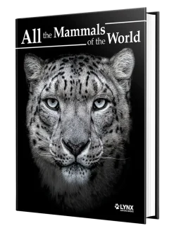 All the Mammals of the World | Bog