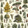 Arboretum plakat