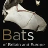 Bats of Britain and Europe | Bog