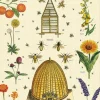 Bees & Honey Plakat