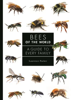 Bees of the World: A Guide to Every Family | Bog