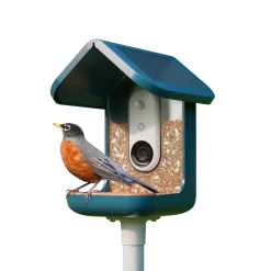 BirdBuddy Solar Pro foderstation med kamera og fuglegendelse