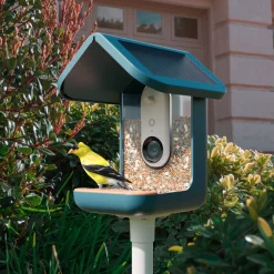 BirdBuddy Solar Pro foderstation med kamera og fuglegendelse