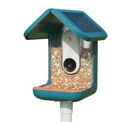 BirdBuddy Solar Pro foderstation med kamera og fuglegendelse