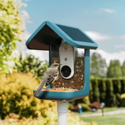 BirdBuddy Solar Pro foderstation med kamera og fuglegendelse