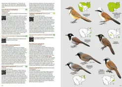Birds of Cambodia | Bog