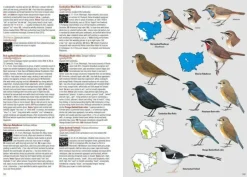 Birds of Cambodia | Bog