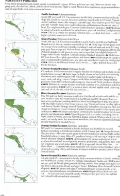 Birds of Central America | Bog