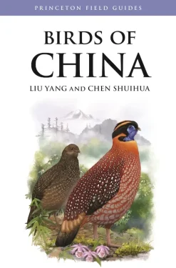 Birds of China feltguide | Bog