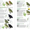 Birds of Colombia | Bog