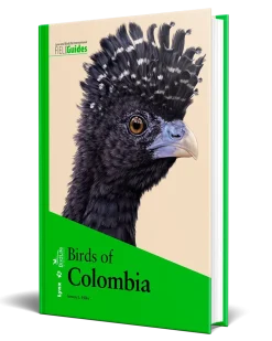 Birds of Colombia | Bog
