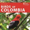 Birds of Colombia – Fotoguide | Bog