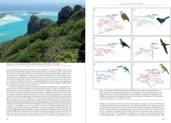 Birds of Eastern Polynesia | Bog