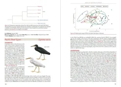Birds of Eastern Polynesia | Bog