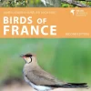 Birds of France | Bog
