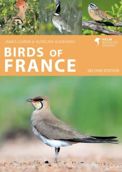 Birds of France | Bog