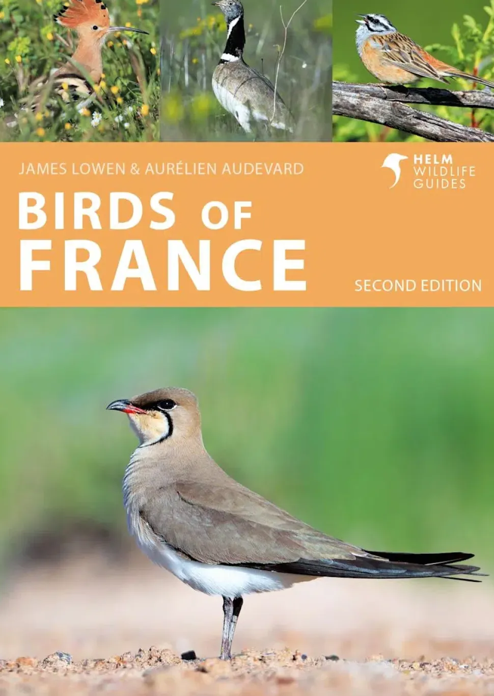 Birds of France | Bog