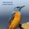 Birds of France – photographic pocket guide | Bog