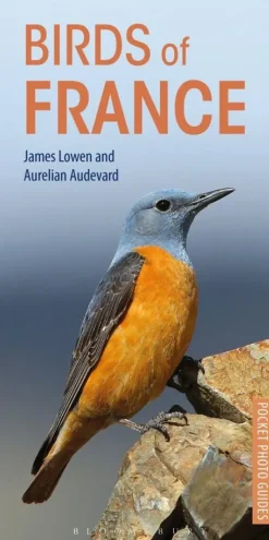 Birds of France – photographic pocket guide | Bog