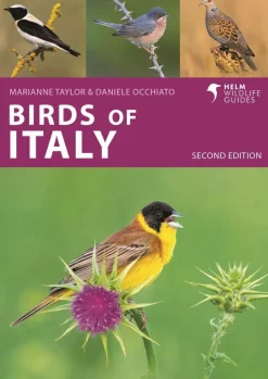 Birds of Italy | Bog