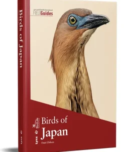 Birds of Japan | Bog