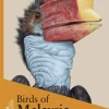 Birds of Malaysia | Bog