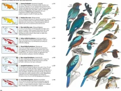 Birds of New Guinea – 2. udgave | Bog