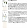 Birds of Oman | Bog