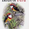 Birds of Peru | Bog