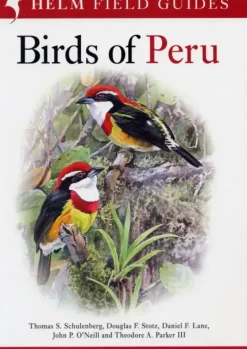 Birds of Peru | Bog