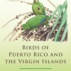 Birds of Puerto Rico and The Virgin Islands | Bog