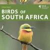 Birds of South Africa – Lille fotoguide | Bog