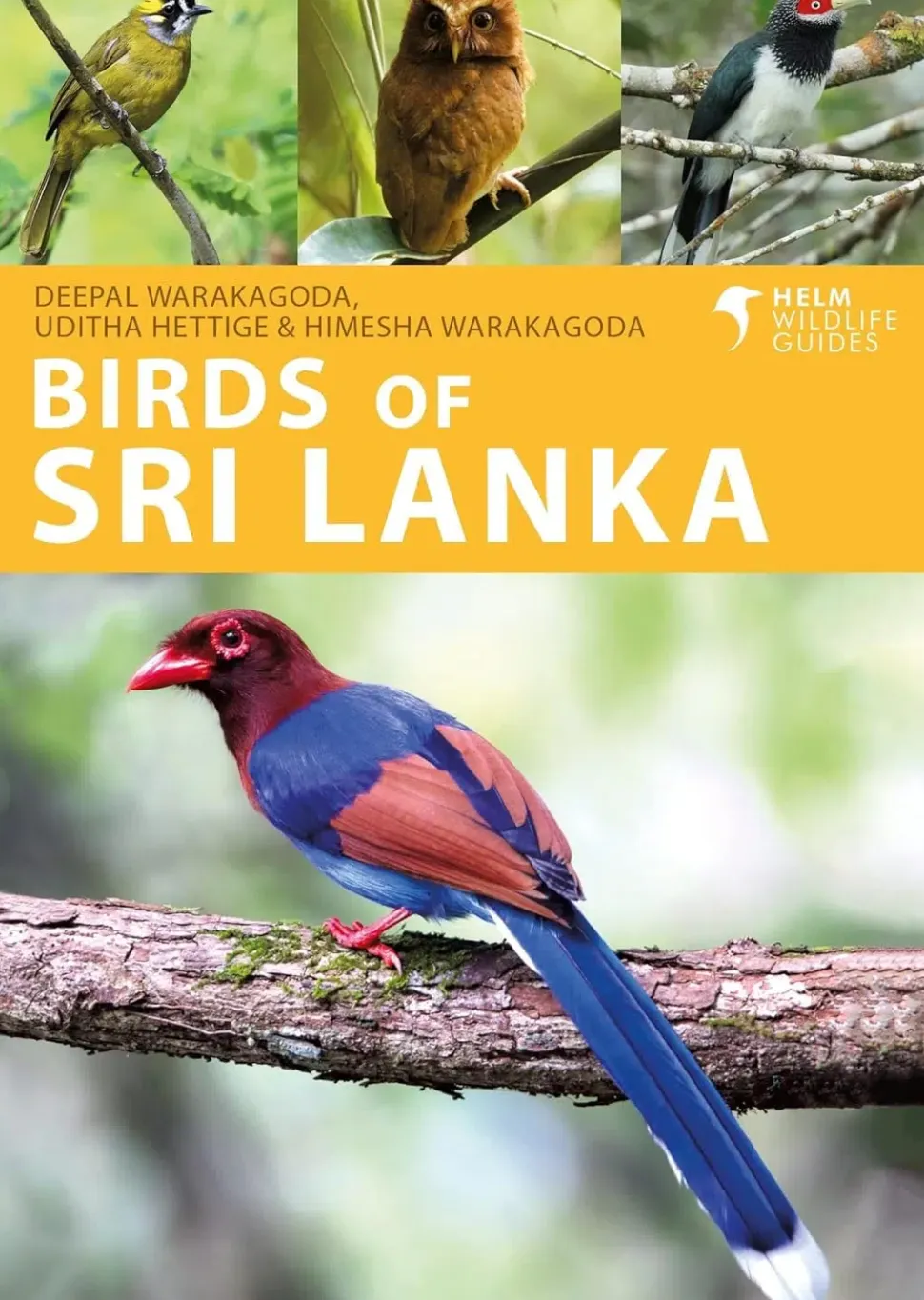 Birds of Sri Lanka – lille fotoguide | Bog