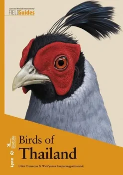 Birds of Thailand | Bog
