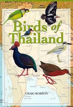 Birds of Thailand | Bog