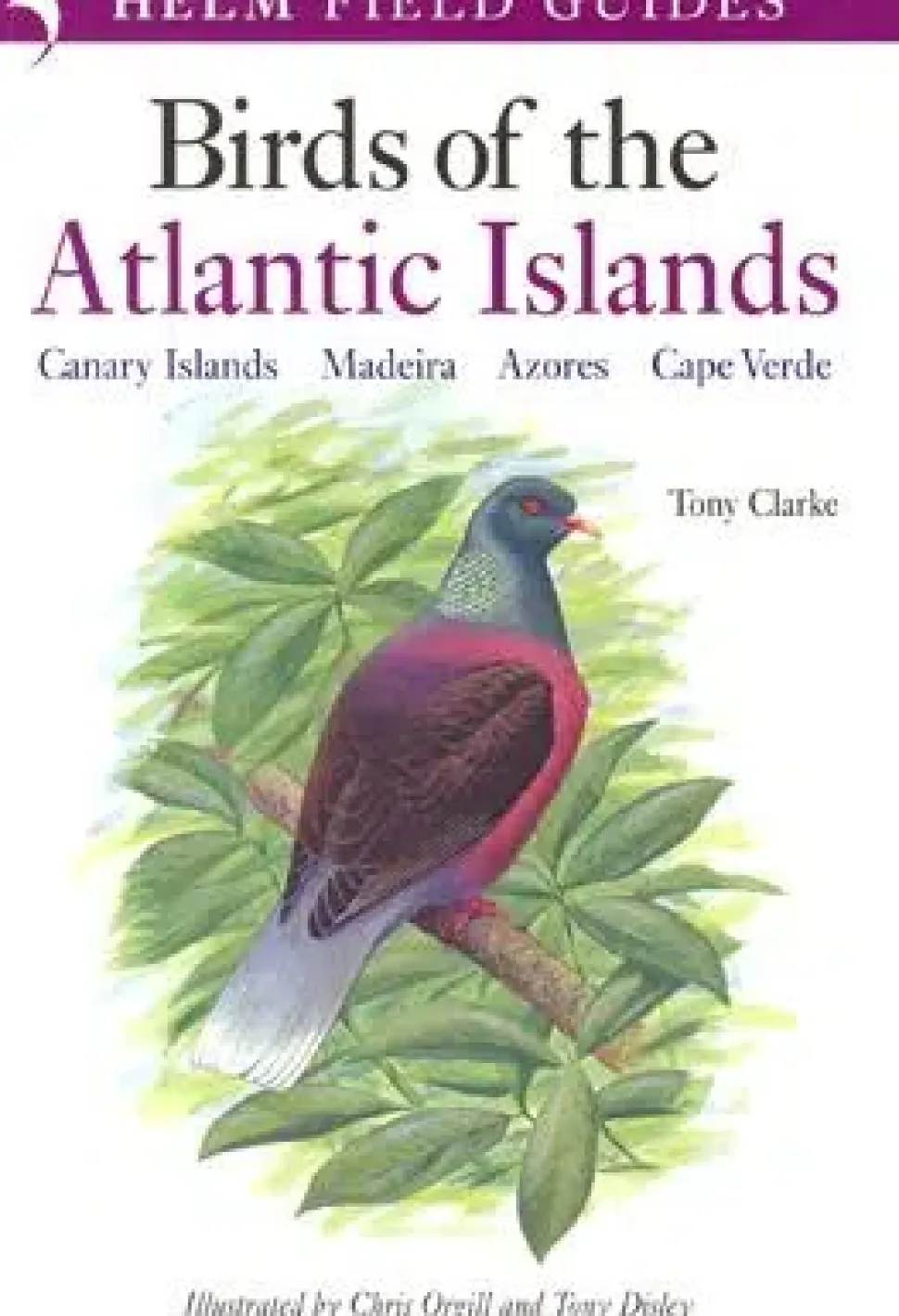 Birds of the Atlantic Islands
