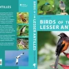 Birds of the Lesser Antilles – fotoguide | Bog