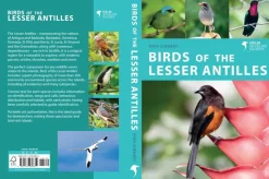 Birds of the Lesser Antilles – fotoguide | Bog
