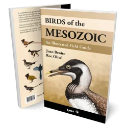 Birds of the Mesozoic