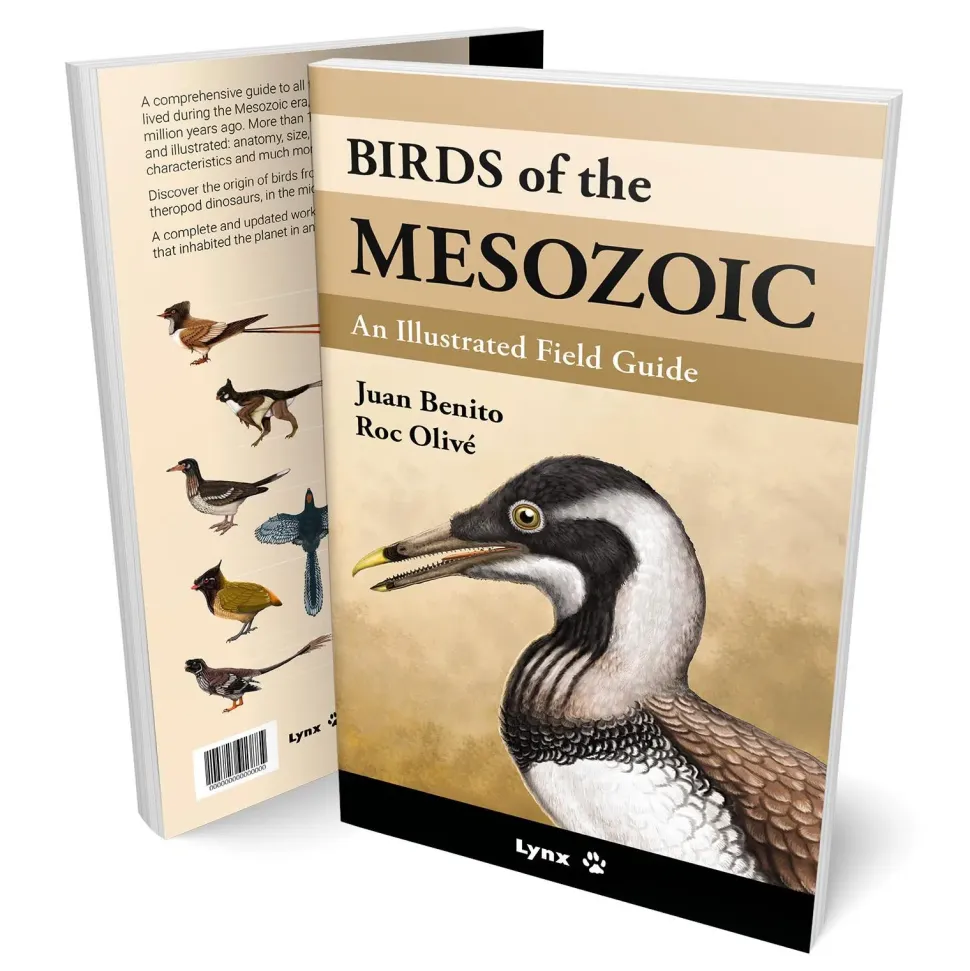 Birds of the Mesozoic