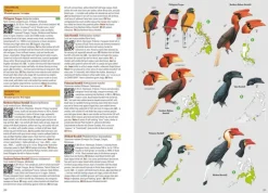 Birds of the Philippines | Bog