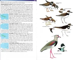 Birds of the West Indies