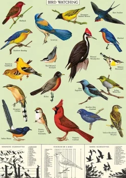 Bird Watching plakat