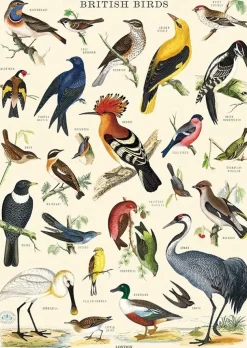 British Birds plakat