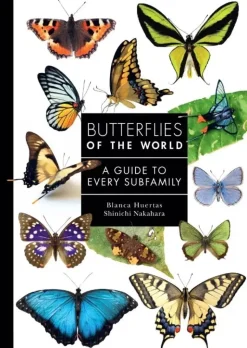 Butterflies of the World | Bog