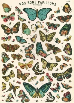 Butterfly chart plakat (Nos bons papillons)