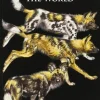 Carnivores of the world | Bog
